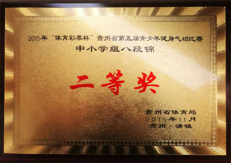2015年“体育彩票杯”贵州省第五届青少年健身气功比赛中小学组八段锦 二等奖